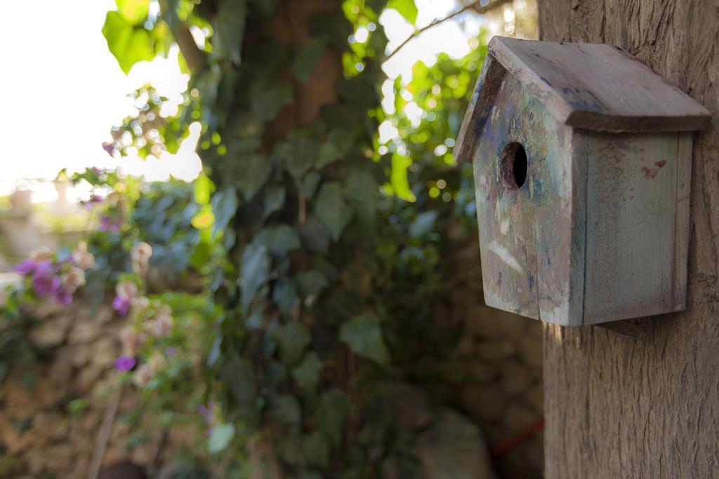 The Nest - A Romantic Vacation Home In Ein Kerem - Йерусалим Стая снимка