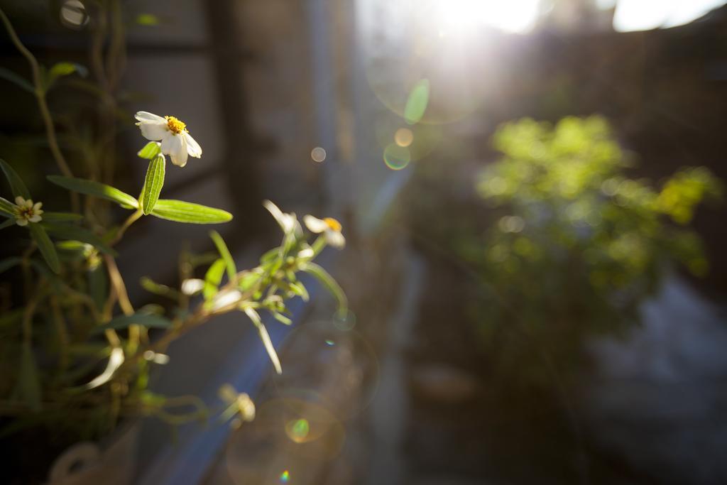 The Nest - A Romantic Vacation Home In Ein Kerem - Йерусалим Екстериор снимка