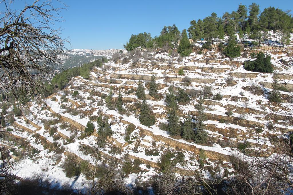 The Nest - A Romantic Vacation Home In Ein Kerem - Йерусалим Екстериор снимка