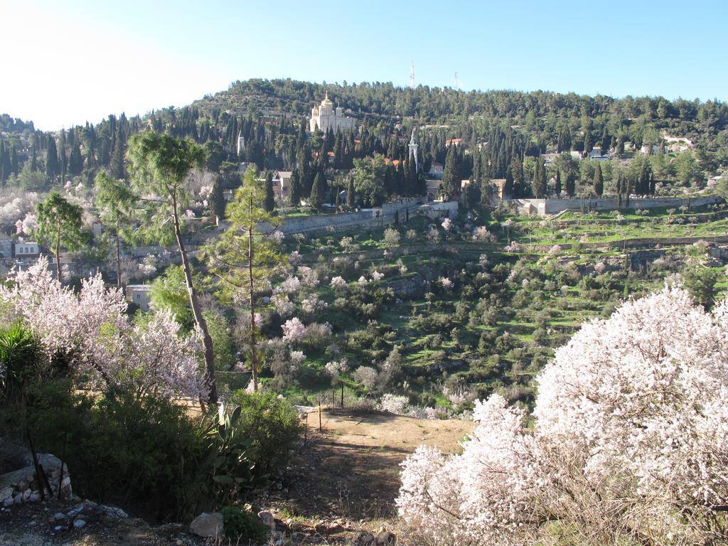 The Nest - A Romantic Vacation Home In Ein Kerem - Йерусалим Екстериор снимка