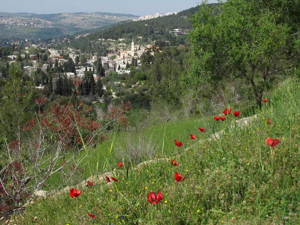 The Nest - A Romantic Vacation Home In Ein Kerem - Йерусалим Екстериор снимка