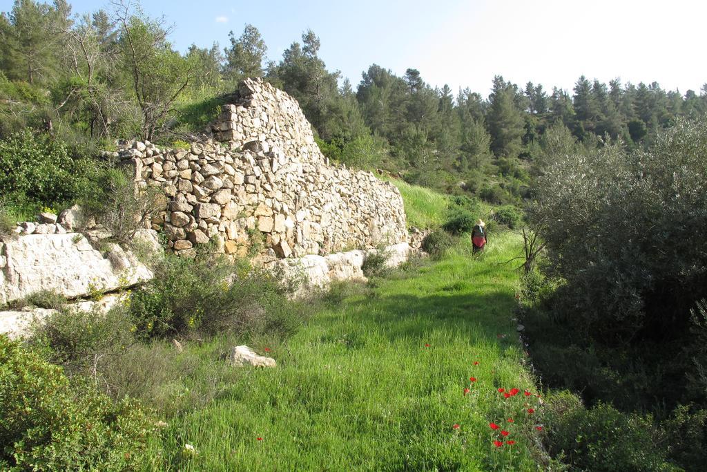 The Nest - A Romantic Vacation Home In Ein Kerem - Йерусалим Екстериор снимка